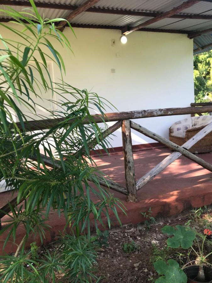 Tayana Place Accommodatie bij particulieren