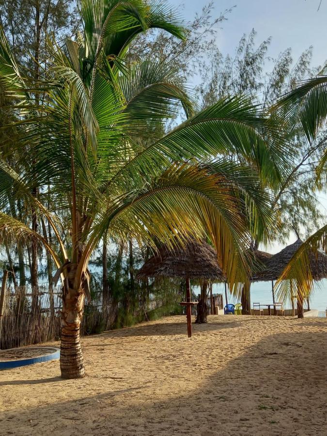 Rum i privatbostad Tayana Place Kizimkazi