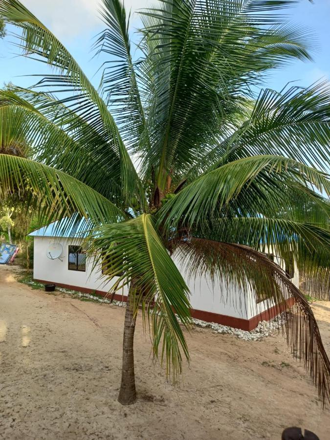 Rum i privatbostad Tayana Place Kizimkazi